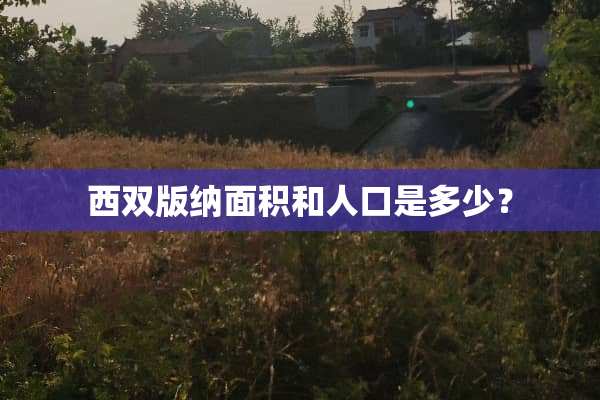 西双版纳面积和人口是多少？