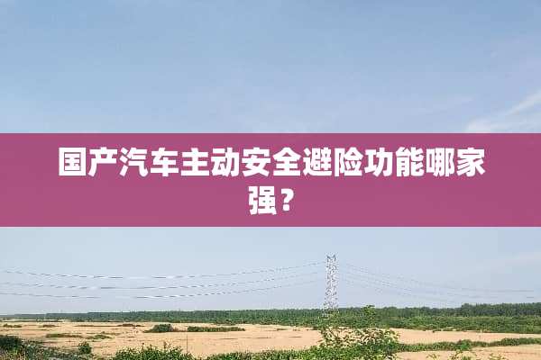 国产汽车主动安全避险功能哪家强？