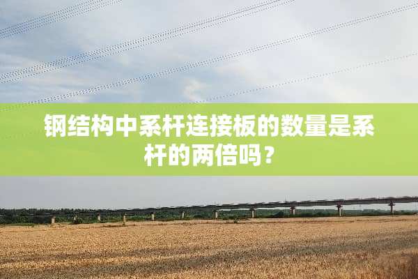 钢结构中系杆连接板的数量是系杆的两倍吗？