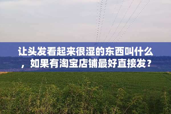 让头发看起来很湿的东西叫什么，如果有淘宝店铺最好直接发？
