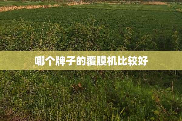哪个牌子的覆膜机比较好