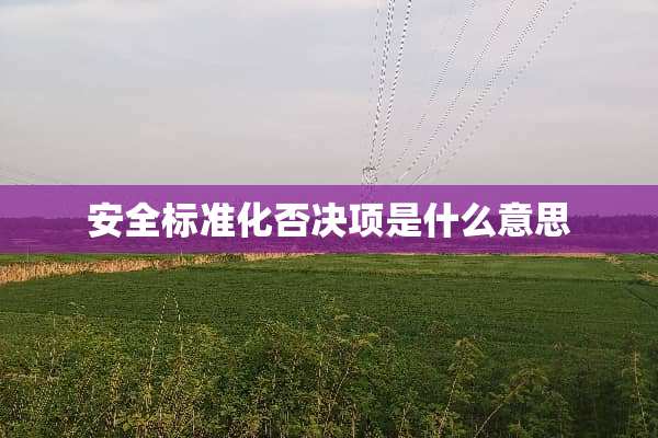 安全标准化否决项是什么意思