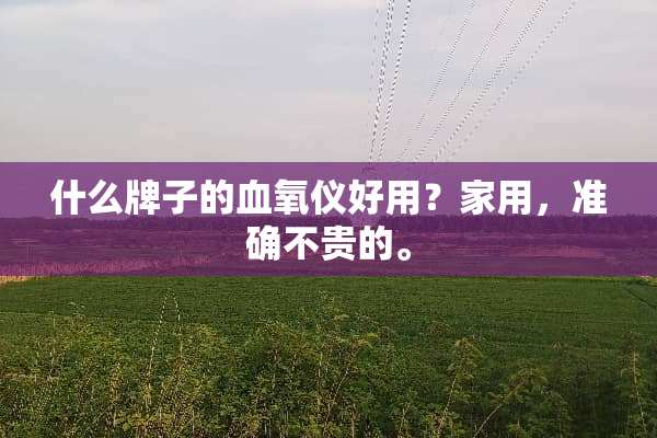 什么牌子的血氧仪好用？家用，准确不贵的。