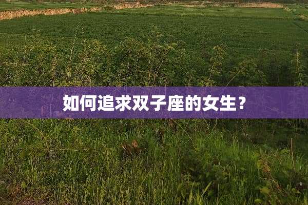 如何追求双子座的女生？