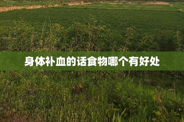 身体补血的话食物哪个有好处