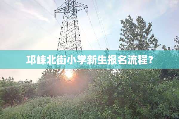 邛崃北街小学新生报名流程？