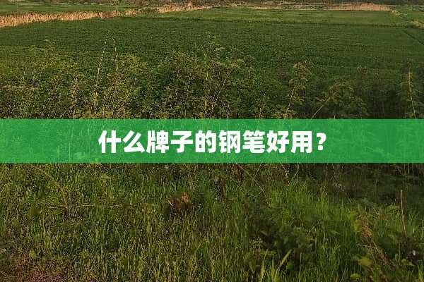 什么牌子的钢笔好用？