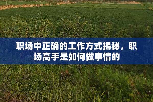 职场中正确的工作方式揭秘，职场高手是如何做事情的