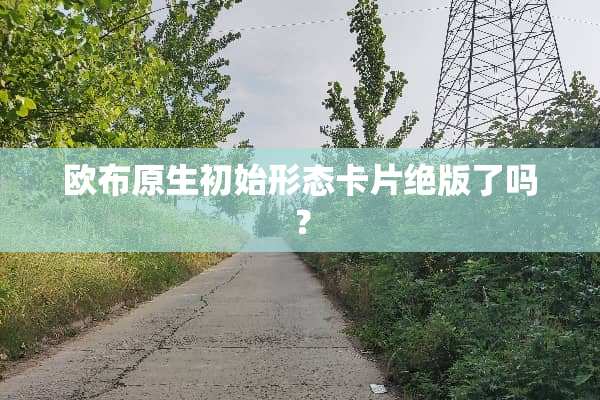 欧布原生初始形态卡片**了吗？