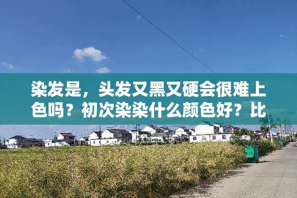 染发是，头发又黑又硬会很难上色吗？初次染染什么颜色好？比较容易上色的？
