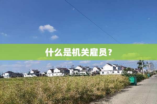 什么是机关雇员？