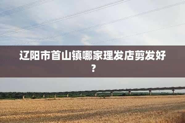 辽阳市首山镇哪家理发店剪发好？
