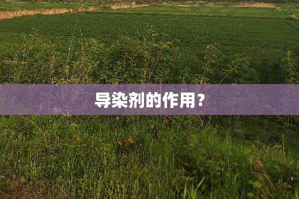 导染剂的作用？