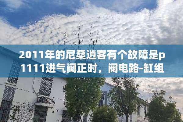 2011年的尼桑逍客有个故障是p1111进气阀正时，阀电路-缸组1 则么理解？
