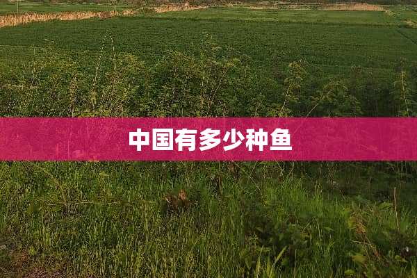中国有多少种鱼