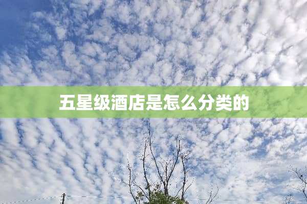五星级酒店是怎么分类的