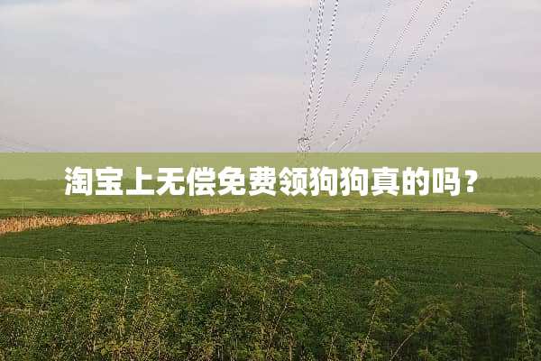淘宝上无偿免费领狗狗真的吗？