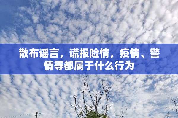 散布谣言，谎报险情，疫情、警情等都属于什么行为