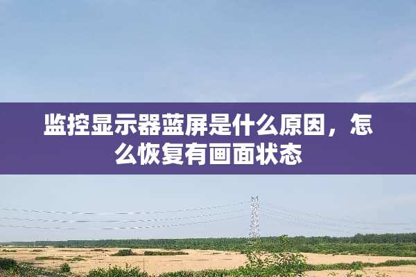 监控显示器蓝屏是什么原因，怎么恢复有画面状态