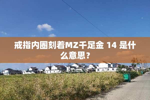 戒指内圈刻着MZ千足金 14 是什么意思？