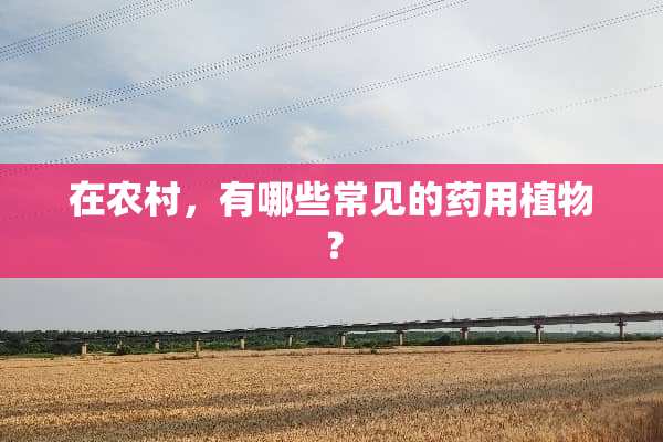 在农村，有哪些常见的药用植物？