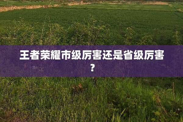 王者荣耀市级厉害还是省级厉害？