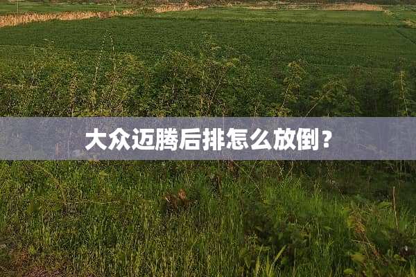大众迈腾后排怎么放倒？