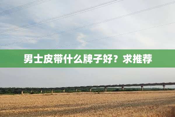 男士皮带什么牌子好？求推荐