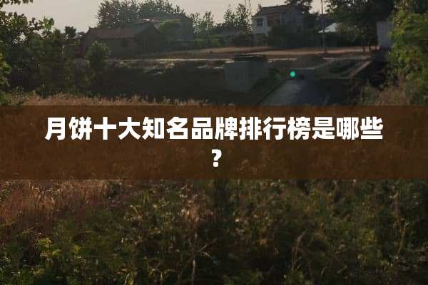 月饼十大知名品牌排行榜是哪些？