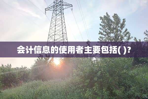 会计信息的使用者主要包括( )？