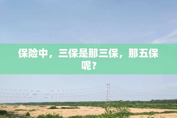 保险中，三保是那三保，那五保呢？