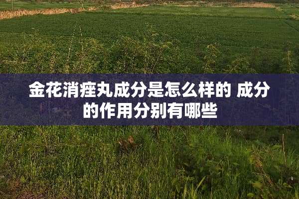 金花消痤丸成分是怎么样的 成分的作用分别有哪些