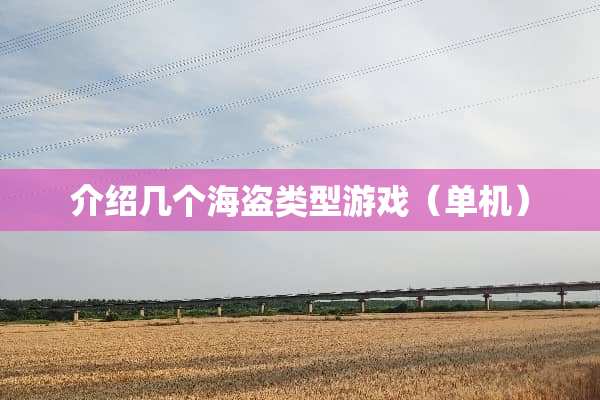 介绍几个海盗类型游戏（单机）