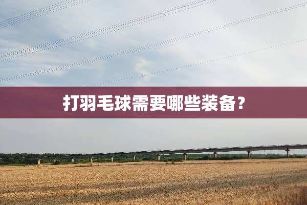 打羽毛球需要哪些装备？