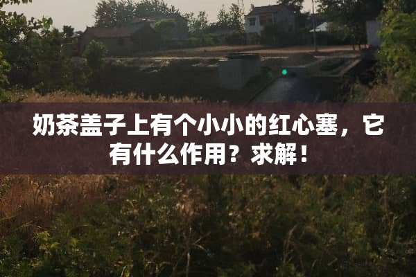 奶茶盖子上有个小小的红心塞，它有什么作用？求解！
