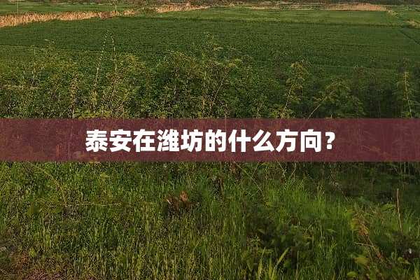 **在潍坊的什么方向？