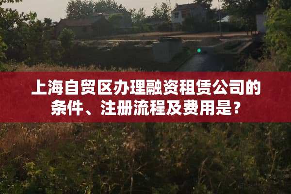 上海自贸区办理融资租赁公司的条件、注册流程及费用是？