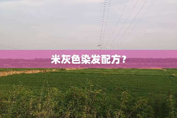 米灰色染发配方？