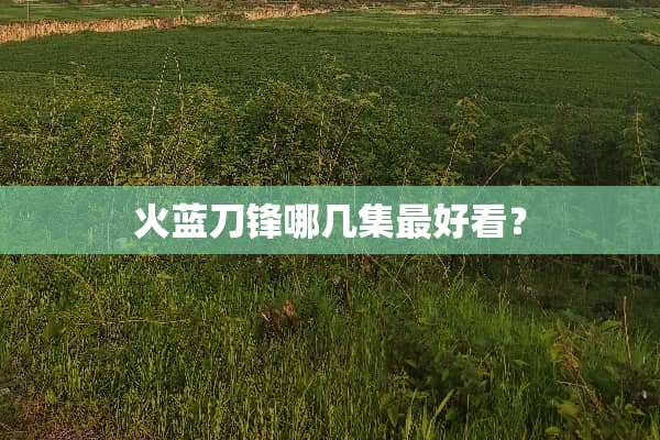火蓝刀锋哪几集最好看？