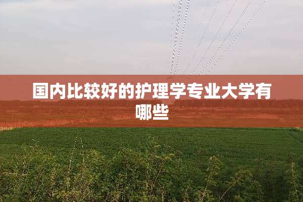 国内比较好的护理学专业大学有哪些