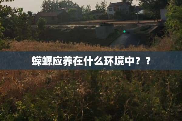 蝾螈应养在什么环境中？？