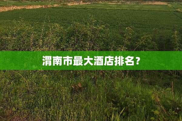 渭南市最大酒店排名？