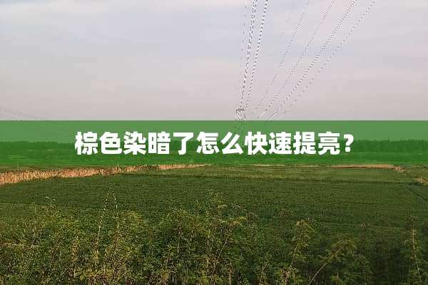 棕色染暗了怎么快速提亮？