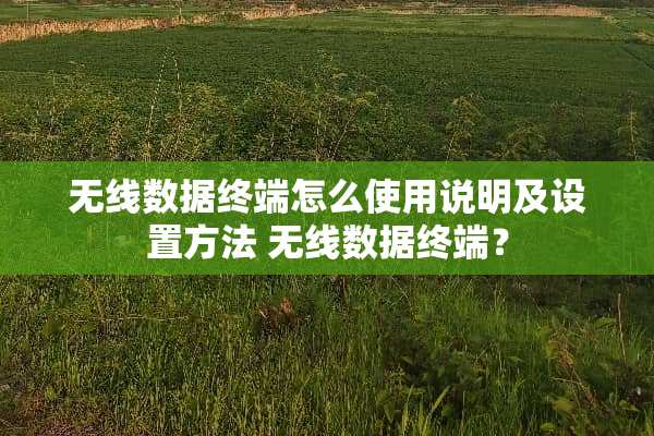 无线数据终端怎么使用说明及设置方法 无线数据终端？
