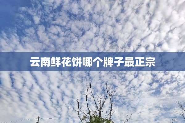 云南鲜花饼哪个牌子最正宗