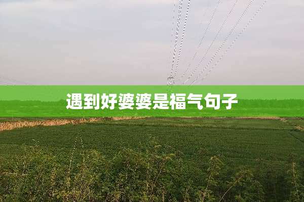 遇到好婆婆是福气句子