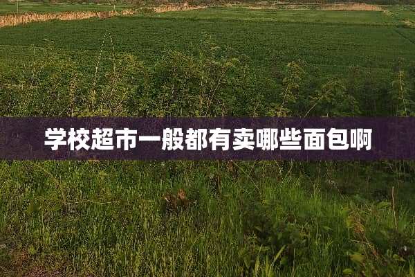 学校超市一般都有卖哪些面包啊
