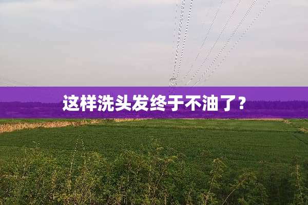 这样洗头发终于不油了？