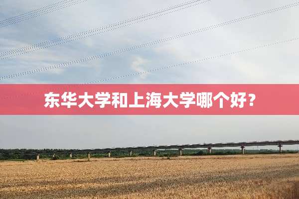 东华大学和上海大学哪个好？
