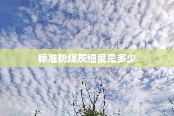标准粉煤灰细度是多少